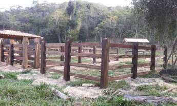 Imagem 7: Excelente Fazenda de 24,5 alqueires