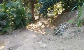 Imagem 2: Sítio ( Cachamorra ) Próximo ao Campo do Chacrinha , Zona Oeste RJ