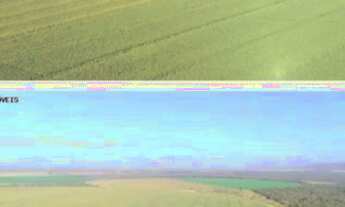 Imagem 5: Fazenda em Paracatu-MG, 2.200 hectares