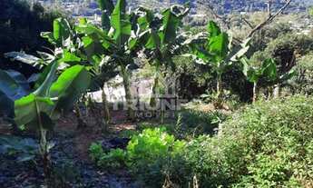 Imagem 2: ótimo Terreno em Três Coroas. te