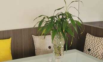 Imagem 6: Ótima oportunidade semi-mobiliado 800 metros da Bras Leme