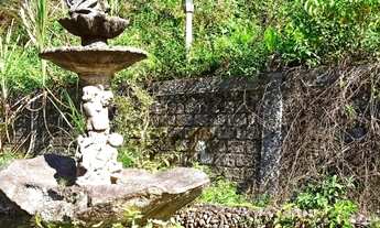 Imagem 7: Terreno Rural com Benfeitorias