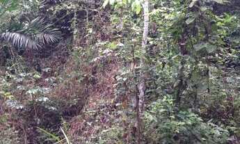 Imagem 7: VENDO PROPRIEDADE RURAL - Presidente Juscelino/MA