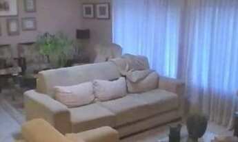 Imagem 2: São Paulo - Casa Padrão - Jardim Cidade Pirituba