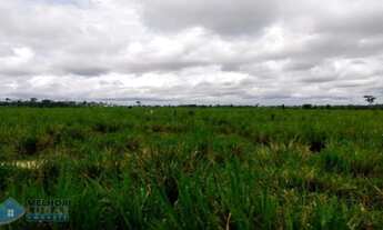 Imagem 5: Fazenda 140 alqueires Machadinho D'oeste