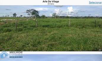 Imagem 3: Fazenda 175 Alqueires Presidente Médici