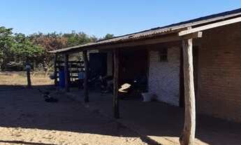 Imagem 6: ÓTIMA FAZENDA EM BALSAS