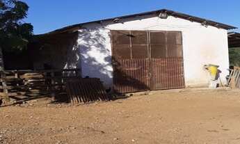 Imagem 5: ÓTIMA FAZENDA EM BALSAS