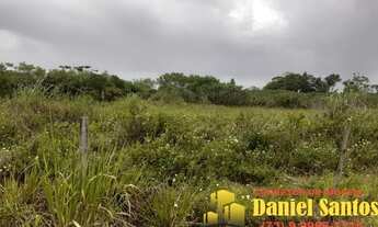 Imagem 5: FAZENDA RURAL em SANTA CRUZ CABRÁLIA - BA, R. Estr. Velha