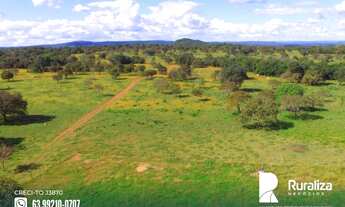 Imagem 3: Fazenda com dupla aptidão na região de Paraíso do Tocantins - TO