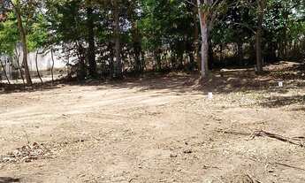 Imagem 6: Vendo terreno Plano, no Km 12 de Aldeia, excelente para empreendimentos