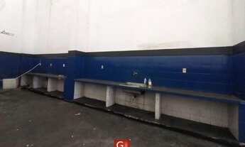 Imagem 4: Galpão/Depósito/Armazém para aluguel possui 360 metros quadrados em Getúlio Vargas - Araca