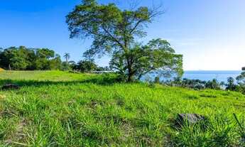 Imagem 7: Terreno à venda, 1829 m² por R$ 1.050.000,00 - Flechas - Ilhabela/SP
