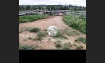 Imagem 2: Machadinho D'Oeste - Sítio - 17 Alqueires