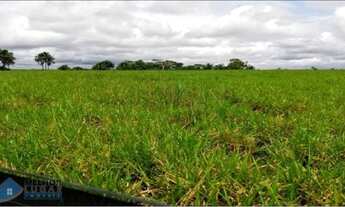 Imagem 2: Fazenda 140 alqueires Machadinho D'oeste