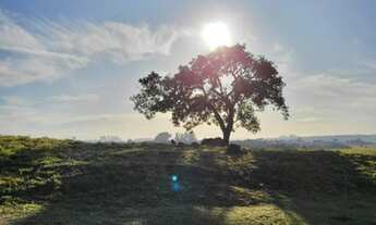 Imagem 5: Lote/Terreno para venda tem 1000 metros quadrados em Recreio Marajoara - Sorocaba - SP