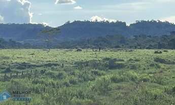 Imagem 3: Sítio 40 alqueires Região Jorge Teixeira