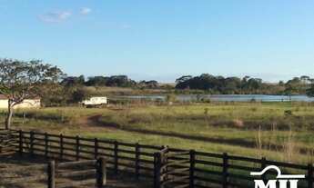 Imagem 4: Fazenda em Araguacema-TO. > 300 Alq. (1.452 Há