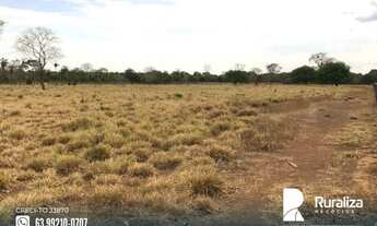 Imagem 6: Fazenda com dupla aptidão no Vale do Araguaia - TO