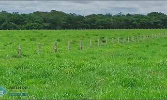 Imagem 5: Fazenda 549 Alqueires Região de Pimenta Bueno