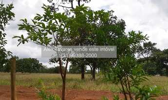 Imagem 3: Terreno Maravilhoso de 20.000m² com Lagoa e Riacho. 175.002 + Parcelas