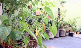 Imagem 5: São Paulo - Casa Padrão - VILA MARIANA