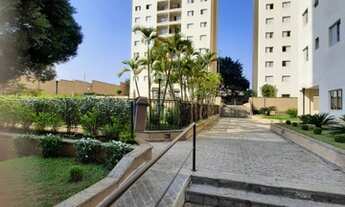 Imagem 2: Apartamento para aluguel tem 70 metros quadrados com 3 quartos em Vila Butantã - São Paulo