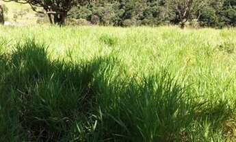 Imagem 6: Lote 360 m2 Terreno / lote com venda por R$60.000