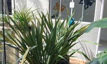 Imagem 3: SOBRADO DE ALTO PADRÃO ÓTIMA LOCALIZAÇÃO!