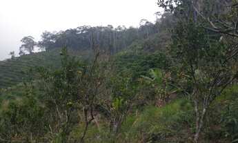 Imagem 3: Sitio Viana 6 hequitares