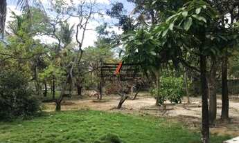 Imagem 2: Terreno com 4.115,00m² no Jangurussu para venda ou locação