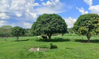 Imagem 6: VÁRZEA GRANDE - Chácara - SÃO MATHEUS