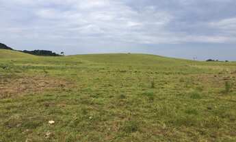 Imagem 5: CHÁCARAS RINCÃO DAS FLORES - CAXIAS - PRÓXIMO ROTA DO SOL