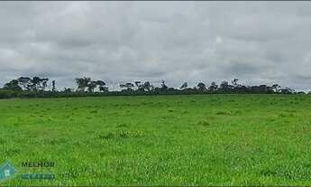 Imagem 6: Fazenda 549 Alqueires Região de Pimenta Bueno