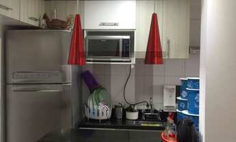 Imagem 5: AApartamento com 45m², 2 dorms. Lazer completo - Vila Nova Cachoeirinha / Horto - SP