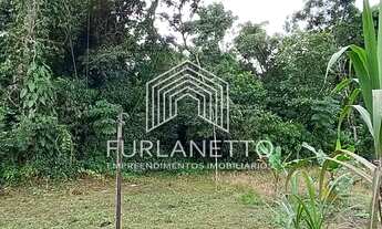 Imagem 4: Joinville - Casa Padrão - Jardim Paraiso