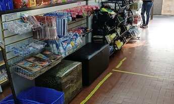 Imagem 6: Loja de utilidades em Embu das Artes