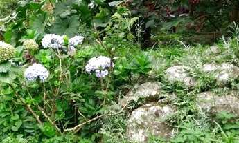 Imagem 4: Lindo lote em rua fechada, Serra Grande (Itaipu) ideal para duas casas