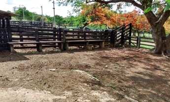 Imagem 7: Chácara de 09 alqueires em Goianápolis-Go