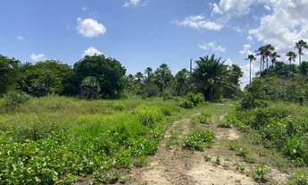 Imagem 6: VENDO TERRENO BEIRA DO RIO mede 15529m2 - CARNAÚBAL/BARREIRINHAS/MA
