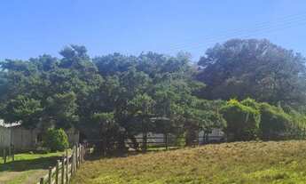 Imagem 6: Fazenda/Sítio/Chácara para venda tem 10000 metros quadrados com 3 quartos