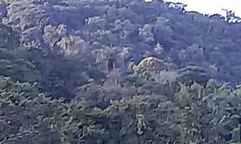 Imagem 4: Terreno Serra do Cipó