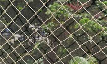 Imagem 2: Apartamento para aluguel com 58 m² com 2 quartos