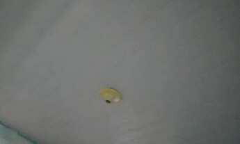 Imagem 4: Casa 2 quarto sala cozinha e banheiro