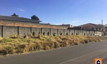 Imagem 3: Terreno à venda em Orfãs