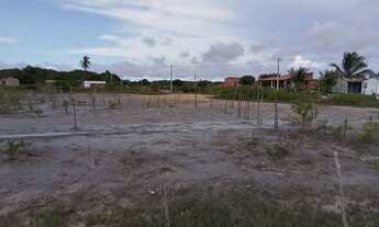 Imagem 7: Terreno da cidade de raposa de frente e 13 de fundo e 15