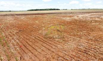 Imagem 4: Fazenda à venda, 144 Alqueires por R$ 20.000.000 - Centro - Paraíso do Tocantins/TO