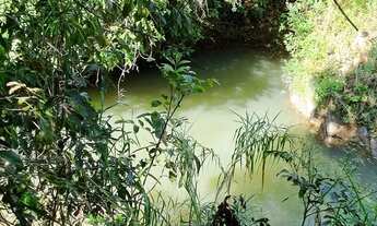 Imagem 2: Excelente Chácara 4 hectares