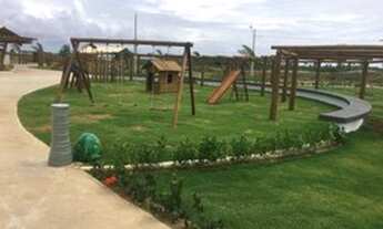 Imagem: Fazenda Real Oportunidade!!