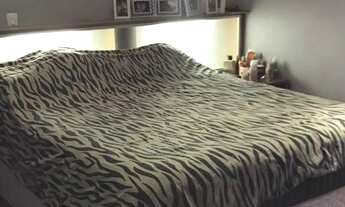 Imagem 4: São Paulo - Casa Padrão - Tucuruvi